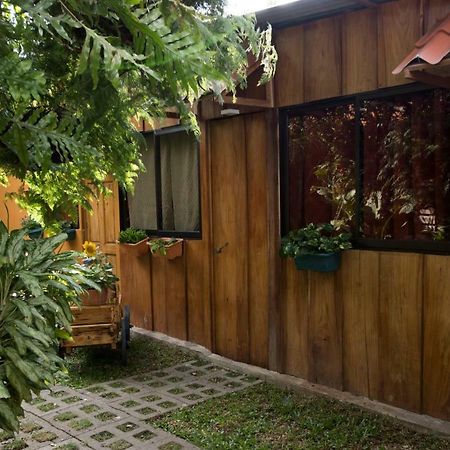 Laurel House Apartment San Antonio De Belen Ngoại thất bức ảnh